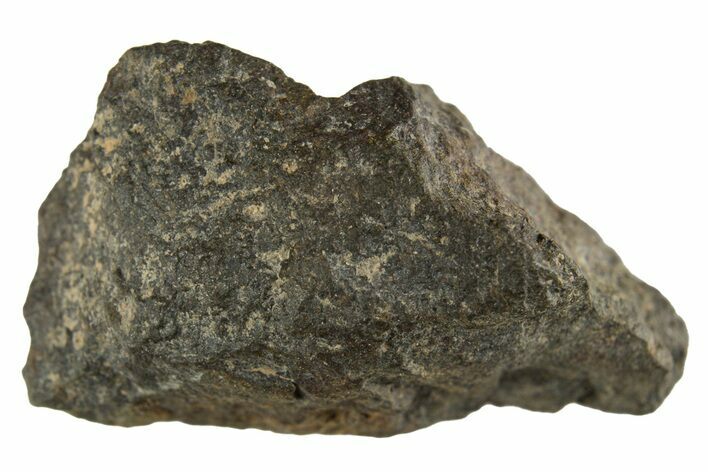 Carbonaceous Chondrite Meteorite ( g) - NWA #313719